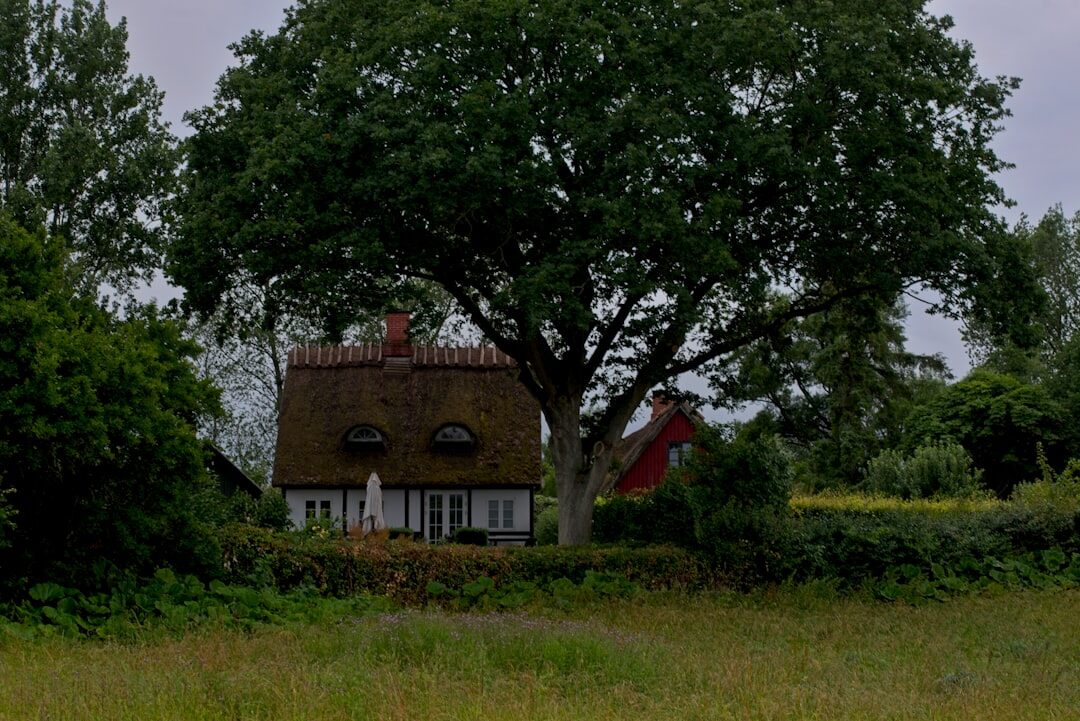 danish countryside heart